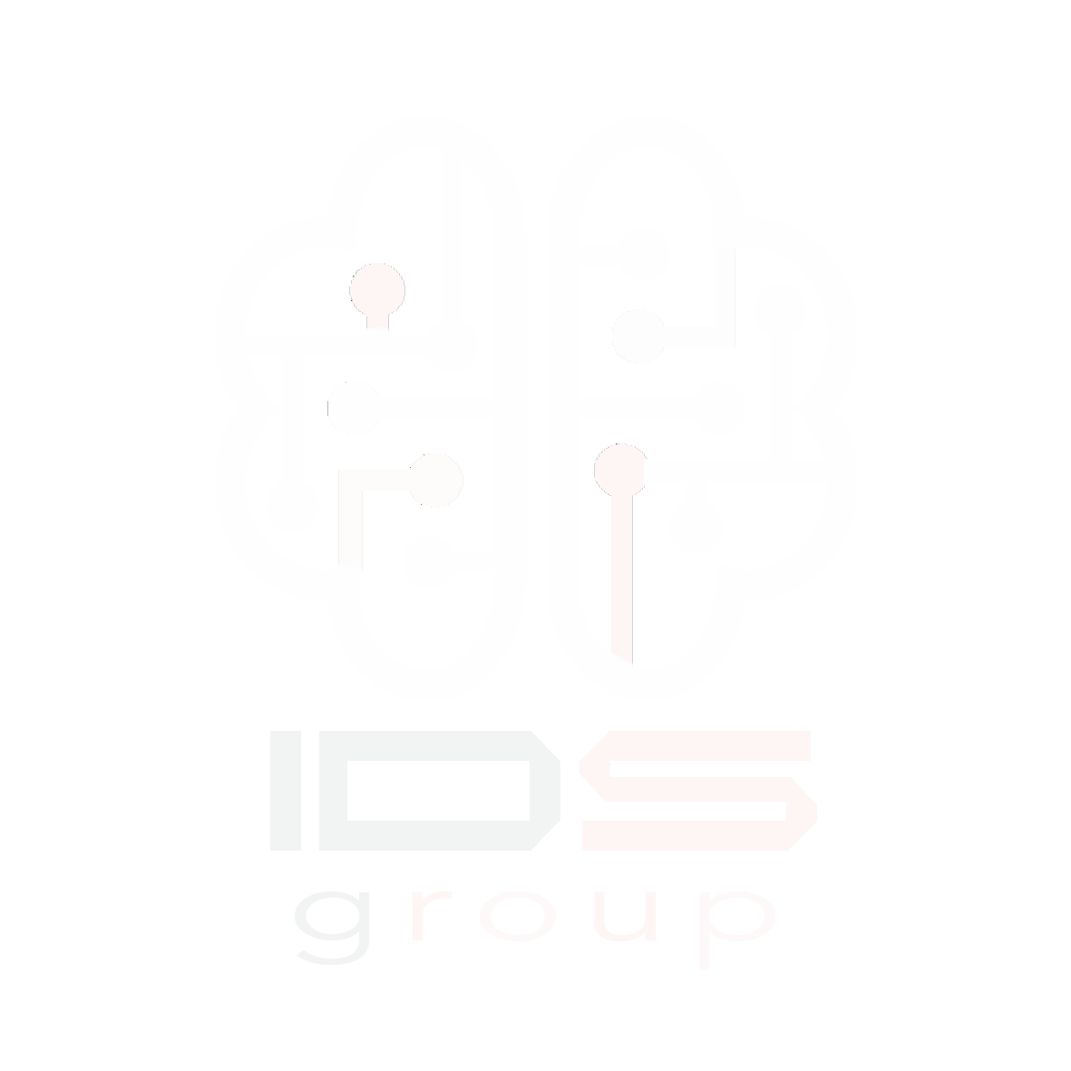 IDS Group Logo